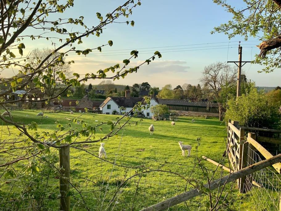 The Cart House - Beautiful Contemporary Barn - Hot Tub Apartment Bridgnorth Ngoại thất bức ảnh
